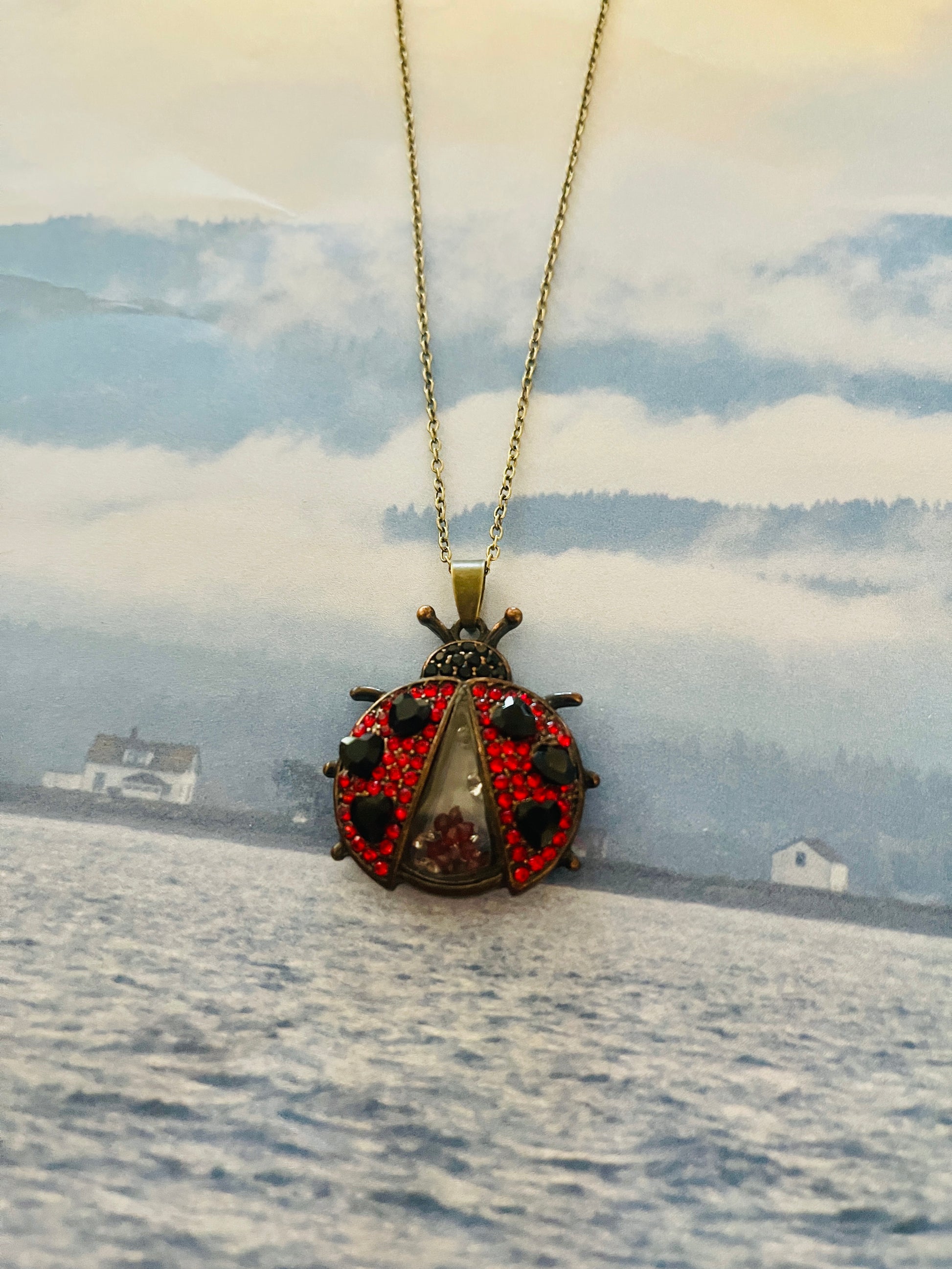 Ladybug Rhinestone Shaker pendant on a bronze Chain NecklacePink tiful of LOVE