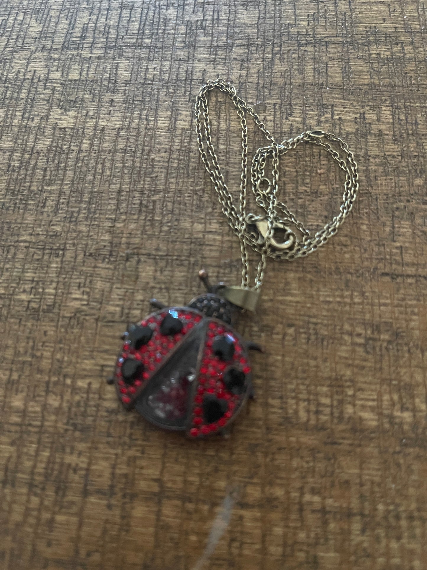 Ladybug Rhinestone Shaker pendant on a bronze Chain NecklacePink tiful of LOVE