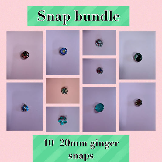 Snap Jewelry-Assorted Ginger Snaps Lot (10 snaps) Lot 13